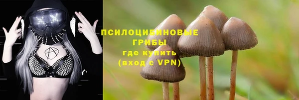 прущие крисы Беломорск