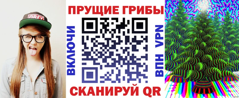 Псилоцибиновые грибы Psilocybine cubensis  Пионерский 