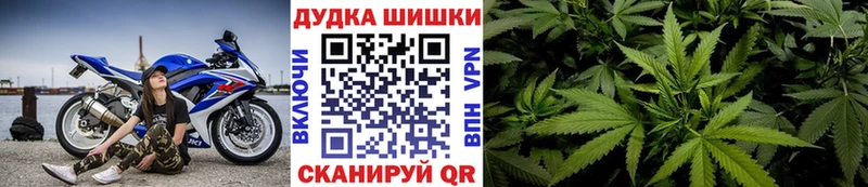 Конопля ГИДРОПОН  Пионерский 